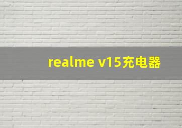 realme v15充电器